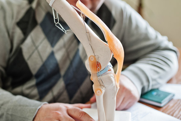 Artificial human knee joint model in medical office on table.
