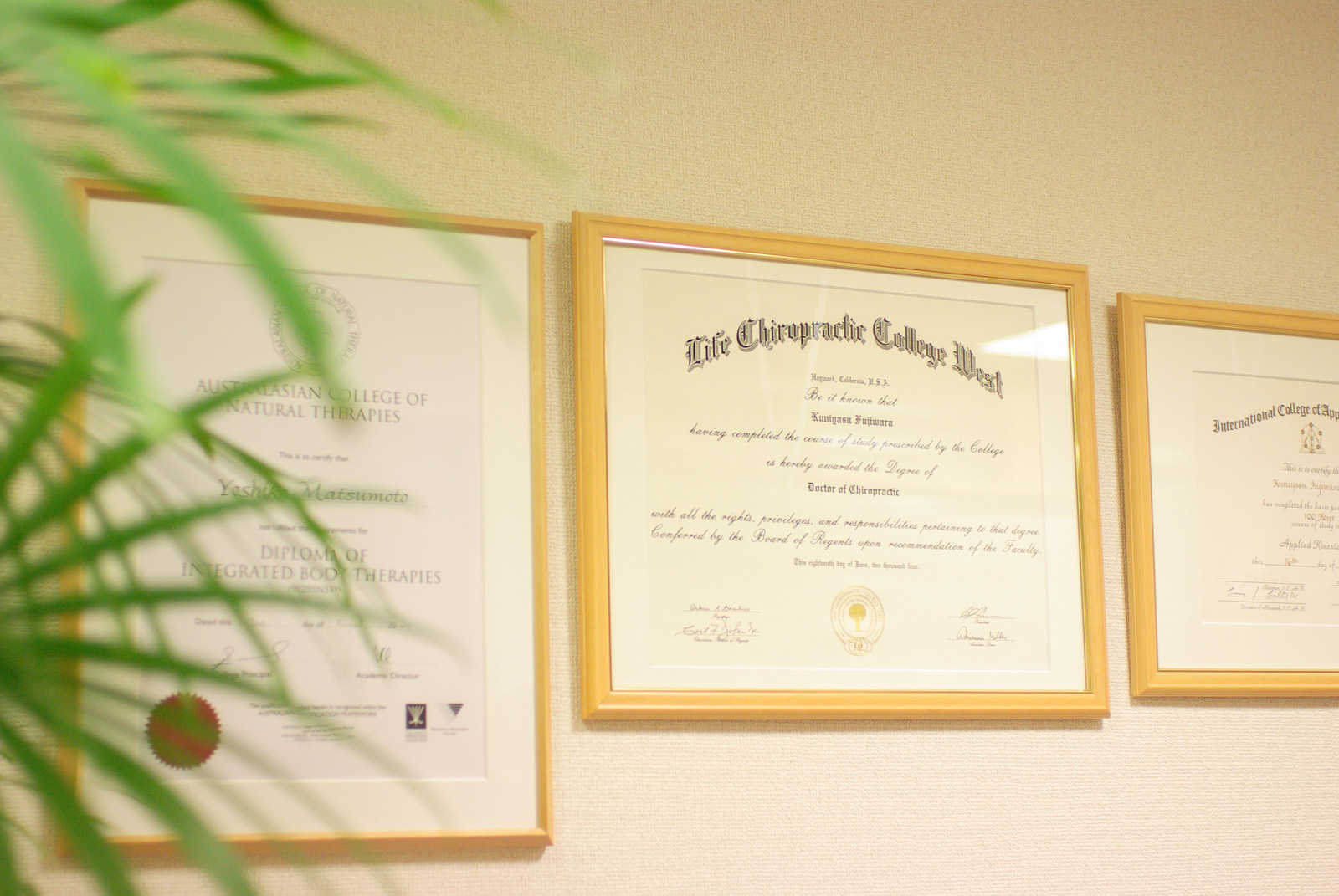 Doctor of Chiropractic