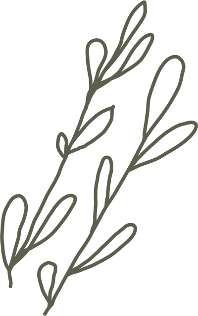 wellness-7